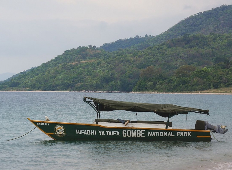 Boat at Gombe