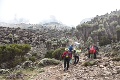 Lava Tower to Barranco Camp Mount Kilimanjaro National Park Rombo