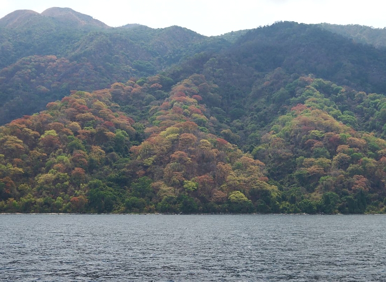 Mahale Mountain National Park