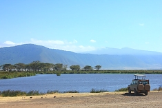 Ngoitok tok in the Ngorongoro Crater