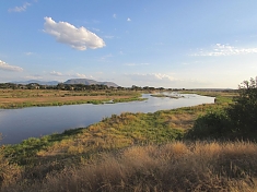 Ruaha National Park