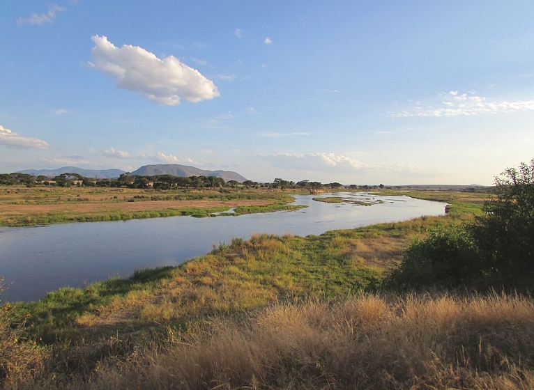Ruaha National Park