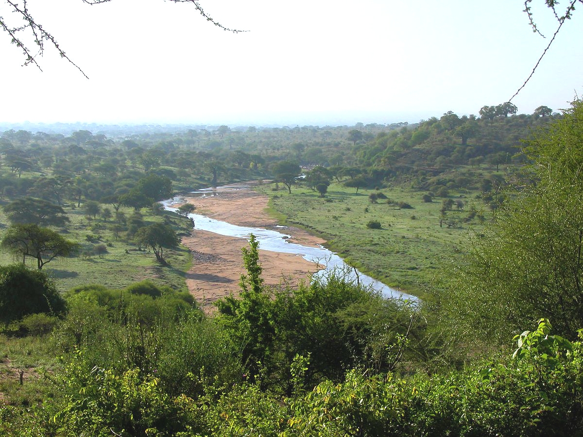 Tarangire River
