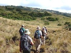 Trekking Safari in Tanzania