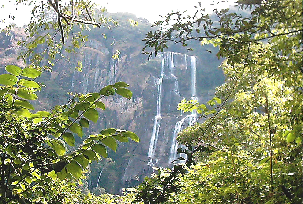 Udzungwa Mountains Waterfalls