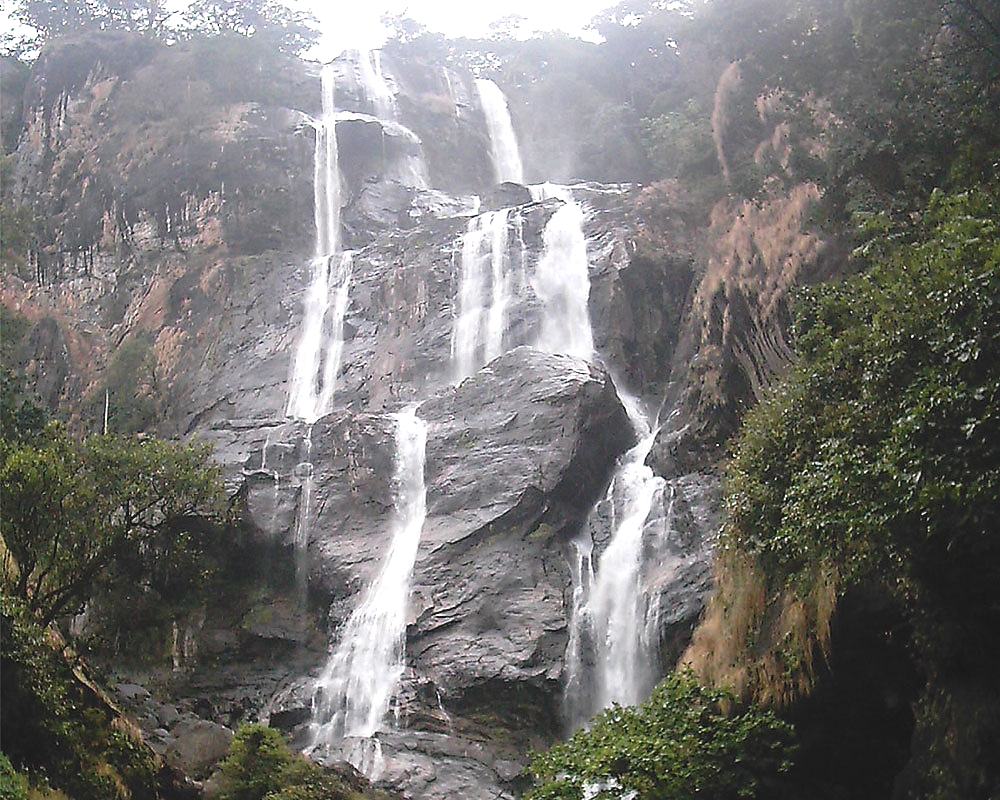 Udzungwa Mountains Waterfalls