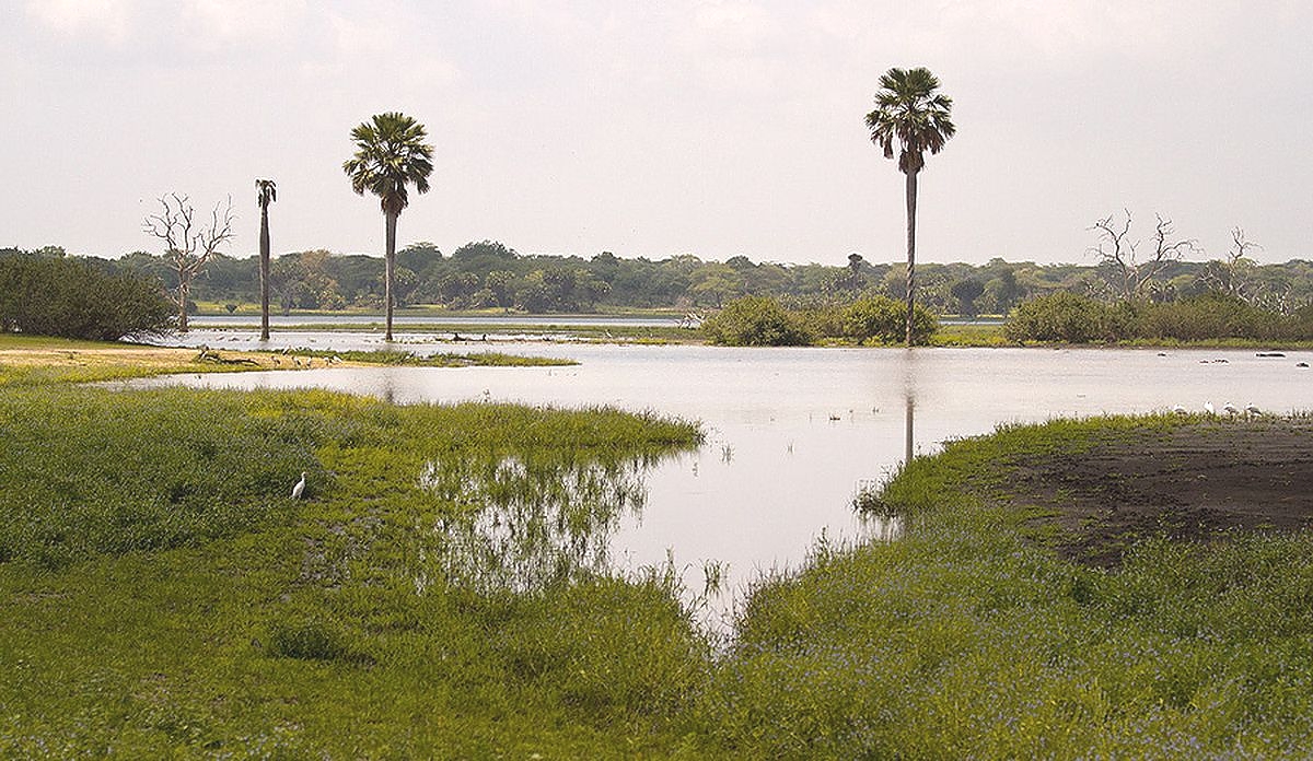 Selous Game Reserve